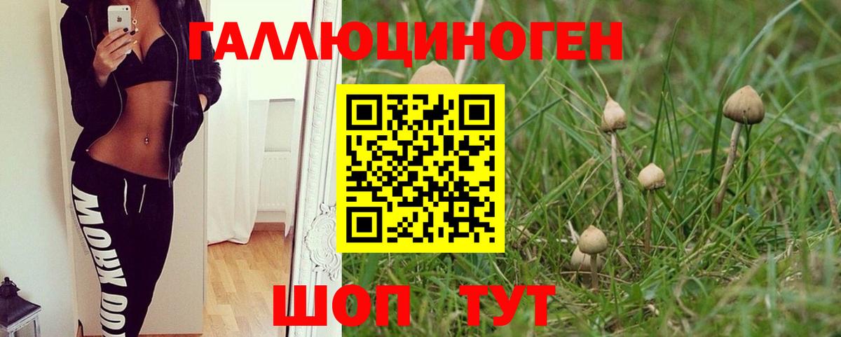 Галлюциногенные грибы мицелий Великий Устюг