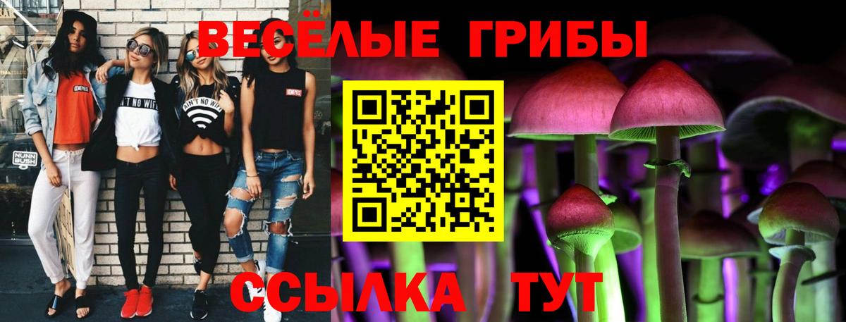 Великий Устюг  Галлюциногенные грибы GOLDEN TEACHER  купить  сайты  Вход с VPN 